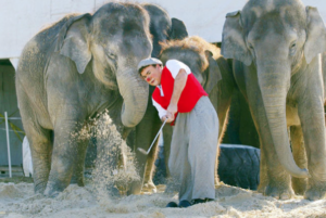 Famous Sports Photographer Heinz Kluetmeier photographer inducted into the Circus Ring Of Fame Foundation Advance Professionals for his three decades of work in the Circus Arts.